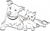 Hvostiki