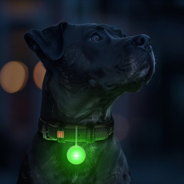 Ліхтарик для собак і котів WAUDOG LED, в силіконовому чохлі, що світиться, USB, Д 37 мм