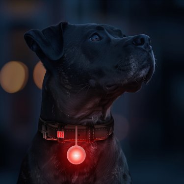 Ліхтарик для собак і котів WAUDOG LED, в силіконовому чохлі, що світиться, USB, Д 37 мм 4