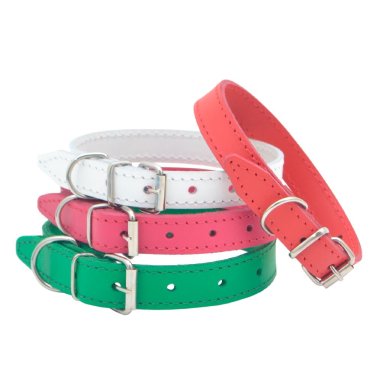 Нашийник шкіряний ВЕСНА 1