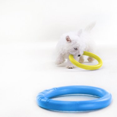 ТРЕНУВАЛЬНИЙ СНАРЯД ДЛЯ СОБАК PULLER MICRO COLORS OF FREEDOM, ДІАМЕТР 12,5 см 2