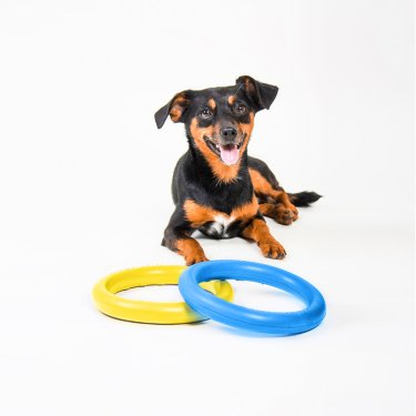 ТРЕНУВАЛЬНИЙ СНАРЯД ДЛЯ СОБАК PULLER MICRO COLORS OF FREEDOM, ДІАМЕТР 12,5 см 3