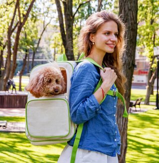 Рюкзак-перенесення для кішок та дрібних порід собак WAUDOG Relax Eco, 42*34*27 см, до 8 кг