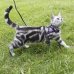 Шлея котяча CoLLaR з повідцем шкіряна. Колір чорний,коричневий 5