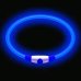 Світлодіодний миготливий LED нашийник з акумулятором для собак для вечірніх прогулянок з USB зарядкою 1